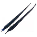 1 PAIR RINGNECK TAIL FEATHERS Wapsi BLACK Fly Tying Rivers and Glen Trading Co
