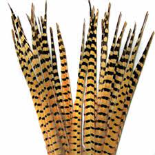 1 PAIR RINGNECK TAIL FEATHERS Wapsi GOLDEN YELLOW Fly Tying Rivers and Glen Trading Co