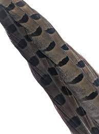 1 PAIR RINGNECK TAIL FEATHERS Wapsi DUN Fly Tying Rivers and Glen Trading Co