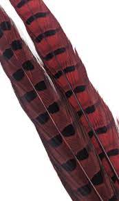 1 PAIR RINGNECK TAIL FEATHERS Wapsi RED Fly Tying Rivers and Glen Trading Co