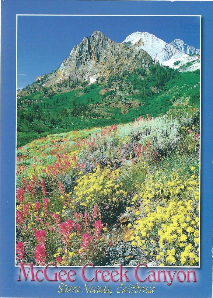 5X7 McGee Creek Canyon Postcard
