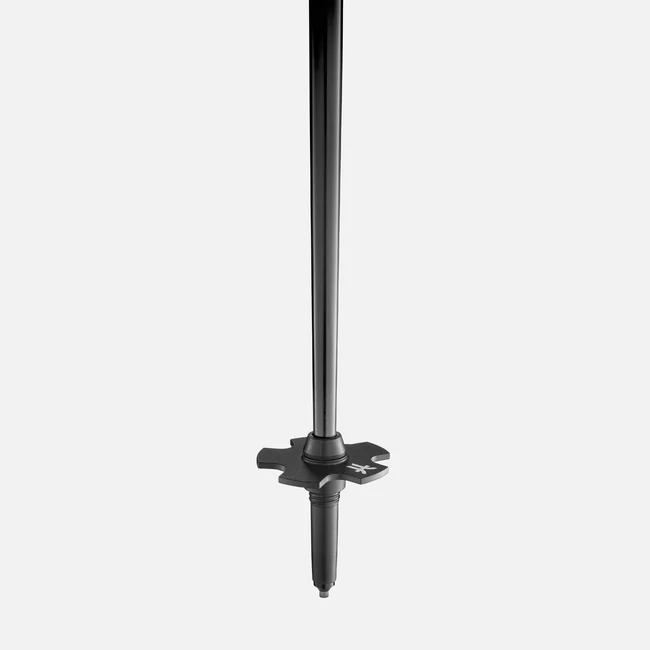 Ski pole