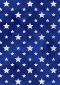 DoorFoto Door Cover American Stars