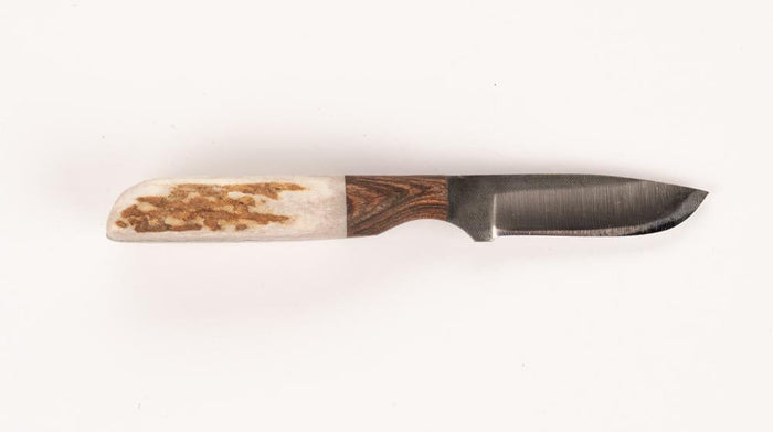 Anza 6F Mini Drop PT-WALNUT-ELK Knife Anza Knives Knives Rivers and Glen Trading Co