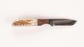 Anza 6F Mini Drop PT-WALNUT-ELK Knife Anza Knives Knives Rivers and Glen Trading Co