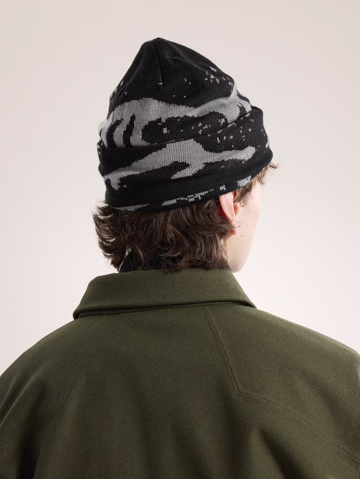 Arcteryx 25 Grotto Toque