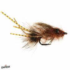 Barry's Carp Bitter Umpqua Rust / 6 Flies Rivers and Glen Trading Co