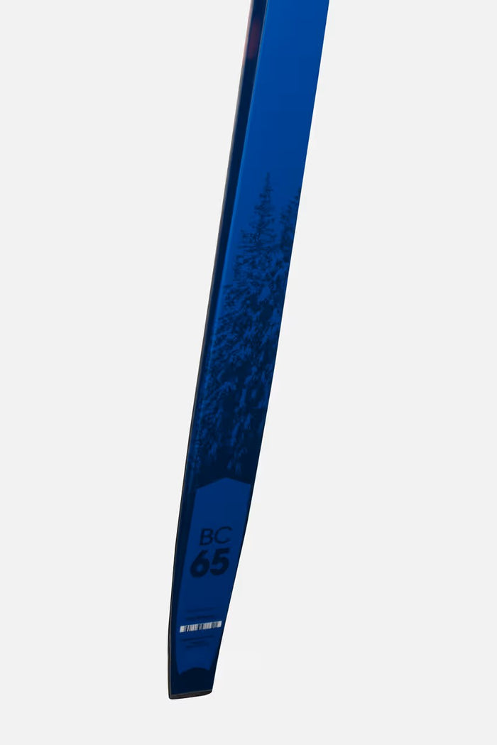 Blue ski with 'BC 65' branding on a white background