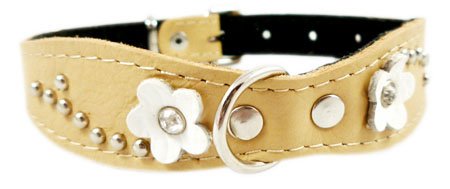 Beige Genuine leather Designer Dog Collar 14.5"x1" with Studs, Daisy, and Rhinestone