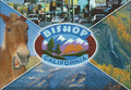 Bishop Collage Postcard-QTY=50