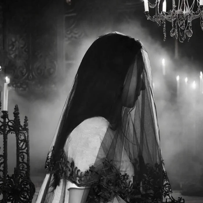Gothic Black Sheer Lace Trim Wedding Veil