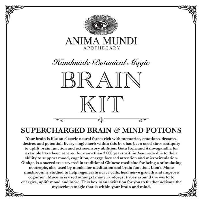 BRAIN KIT | Adaptogenic Nootropics*