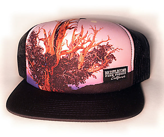 Bristlecone Photo Hat