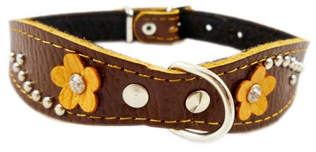Brown Genuine leather Designer Dog Collar 14.5"x1" with Studs, Daisy, and Rhinestone