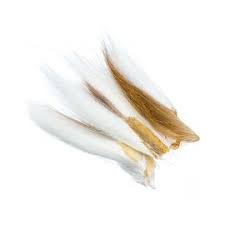 FL. WHITE