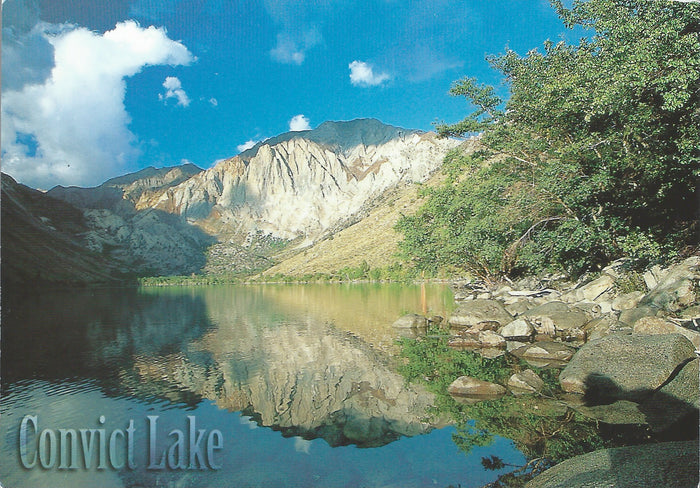 Calm Convict Lake Postcard-QTY=50