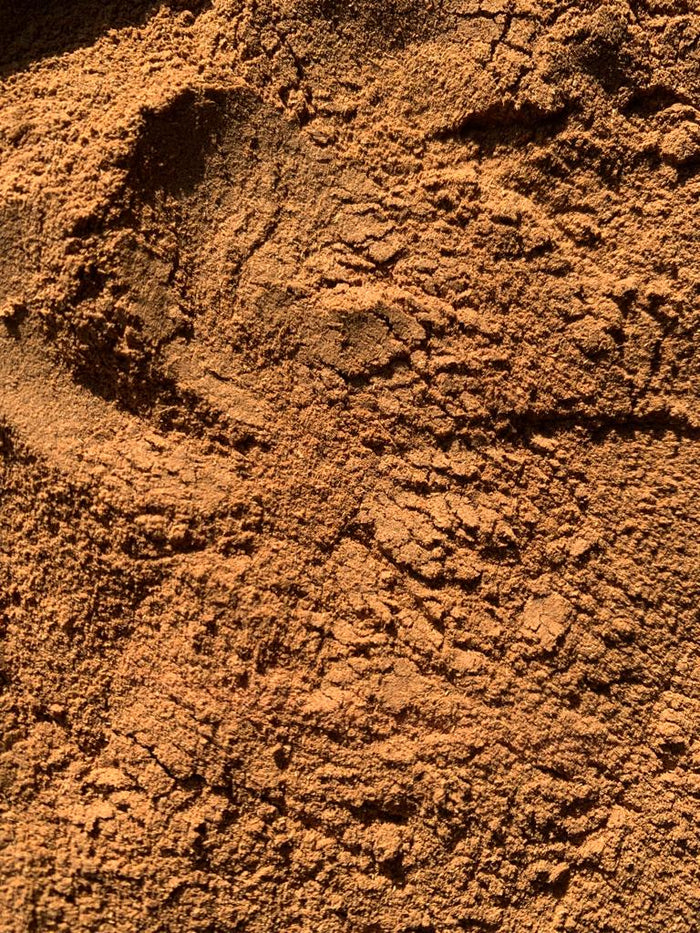 CATUABA | Wild Botanical for Vitality + Passion*
