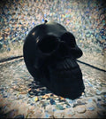certain termination skull candle