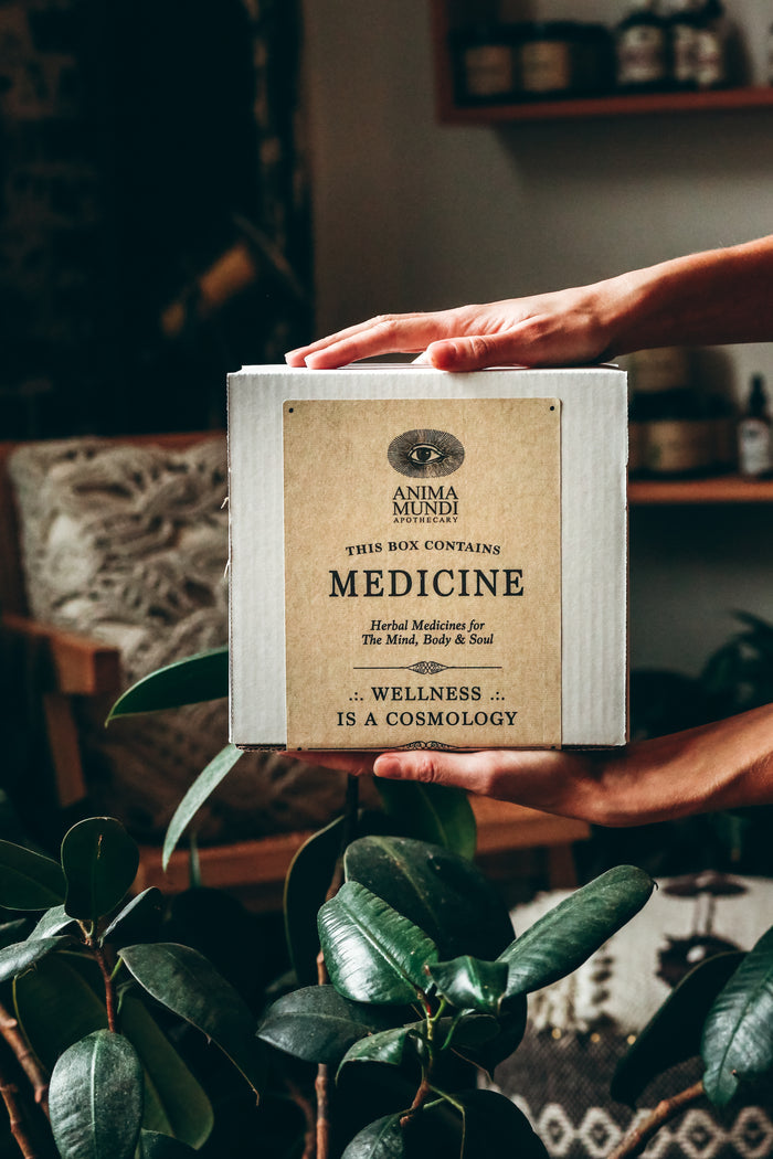 Collagen + Creamer | BUNDLE