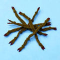 CRAB CLAW Enrico Puglisi BROWN - LG Fly Tying Rivers and Glen Trading Co