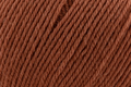 Deluxe Worsted Superwash - Auburn