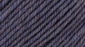 Deluxe Worsted Superwash - Channel