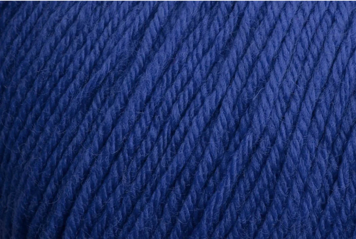 Deluxe Worsted Superwash - Cobalt