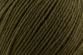 Deluxe Worsted Superwash - Forest