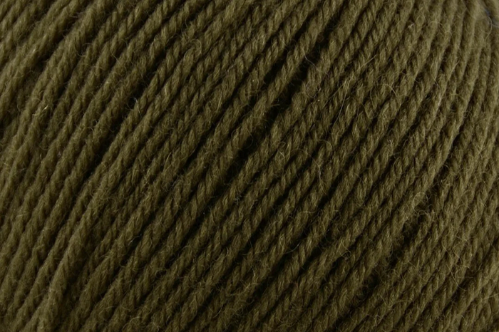 Deluxe Worsted Superwash - Forest