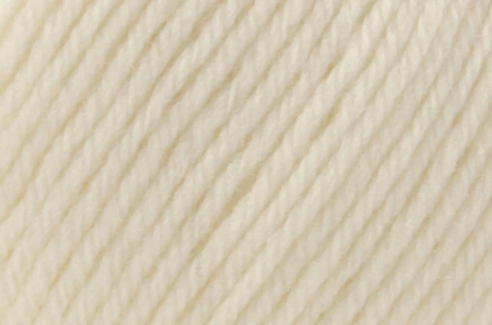 Deluxe Worsted Superwash - Pulp