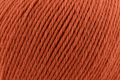 Deluxe Worsted Superwash - Terracotta