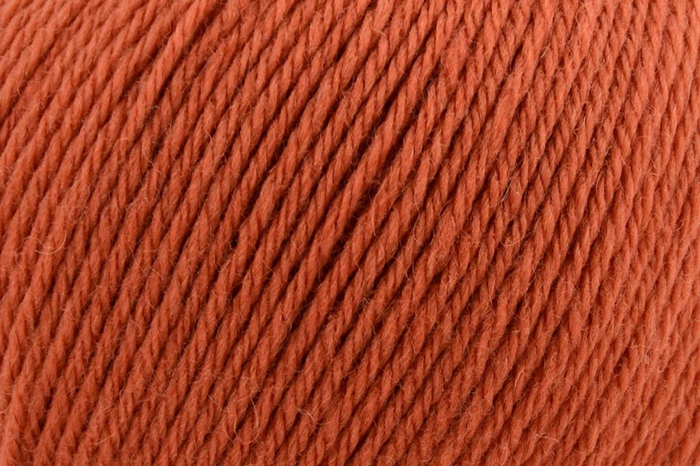 Deluxe Worsted Superwash - Terracotta