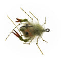 DESCENDENT CRAB Enrico Puglisi OLIVE - #1 Flies Rivers and Glen Trading Co