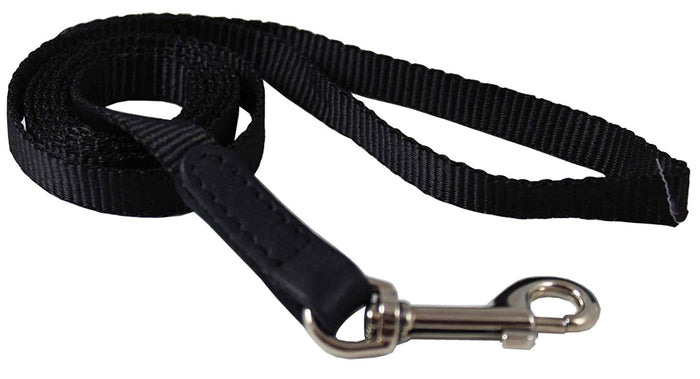 Dog Leash 1/2" Wide Nylon 5ft Length with Leather Enforced Snap Black Small