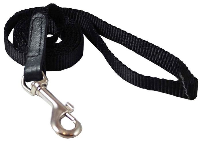 Dog Leash 1/2" Wide Nylon 6ft Length with Leather Enforced Snap Black Small