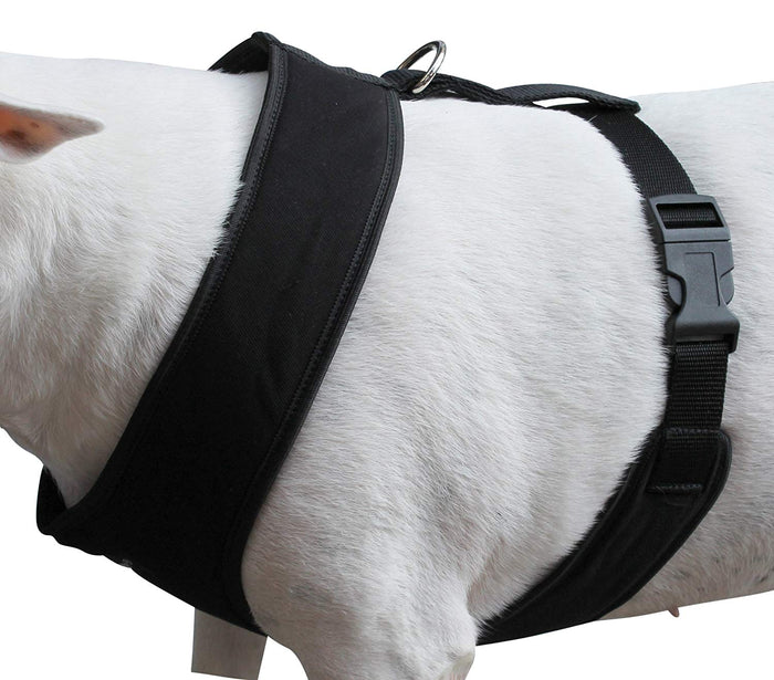 Dogs My Love Soft Vest Harness for Dogs and Puppies 6 sizes Black