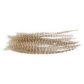 DRY FLY NECK HACKLE MINI PACK LG Wapsi BLCH/GRIZ Fly Tying Rivers and Glen Trading Co