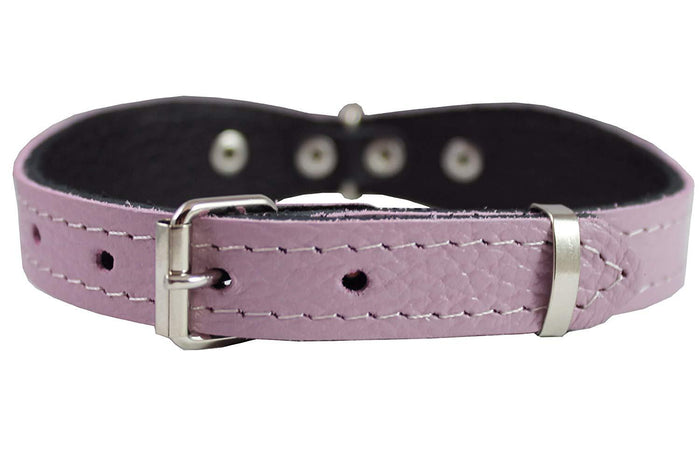 Genuine leather Designer Dog Collar 14.5"x1" with Studs, Daisy, and Rhinestone
