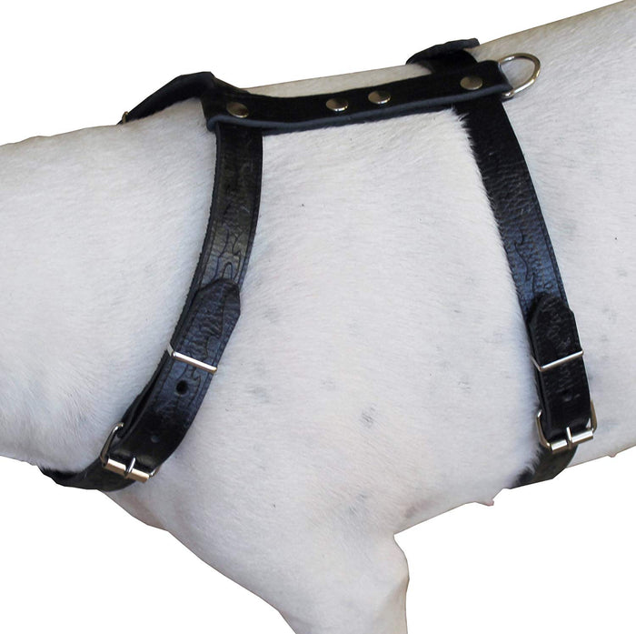 Genuine Tooled Leather Dog Harness Medium. 22"-30" Chest, 3/4" Wide Straps