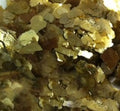 Gold Large Mica Flakes
