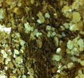 Gold Medium Mica Flakes