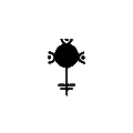 metaphysical store