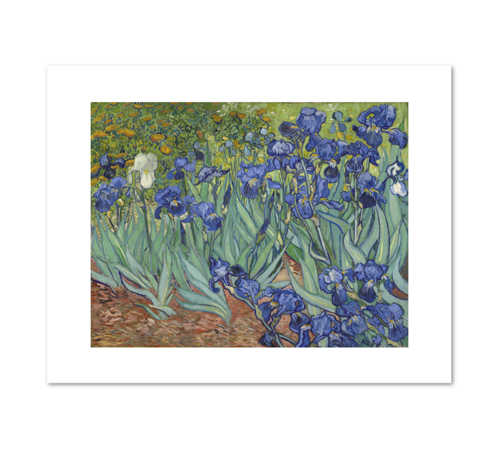 Irises by Vincent van Gogh