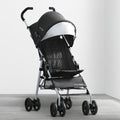 Black with Neutral Grey (2277)