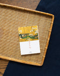 JPN: Picture Book of Cherry Blossoms