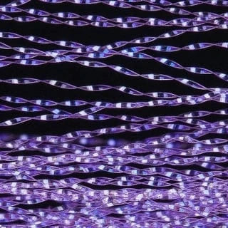 PURPLE/PEARL