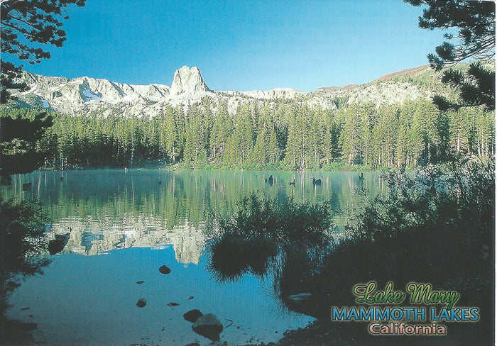 Lake Mary Postcard-QTY=50