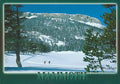Mammoth Cross Country Skiing Winter Postcard-QTY=50