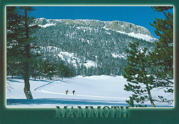 Mammoth Cross Country Skiing Winter Postcard-QTY=50