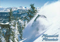 Mammoth Winter Snowboarder -QTY=50